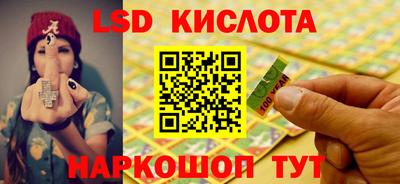 гашик Можга