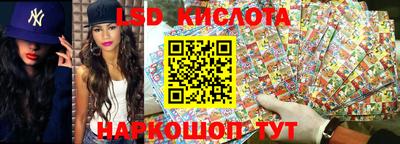 гашик Можга