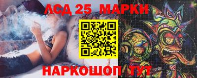 гашик Можга