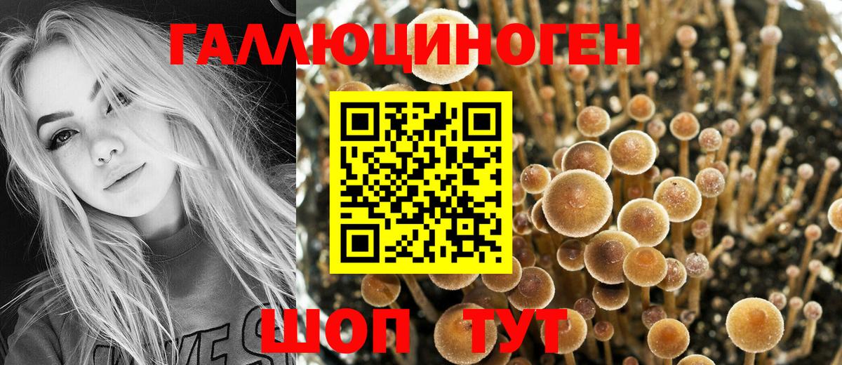 Ульяновск  Псилоцибиновые грибы прущие грибы  Вход с VPN 