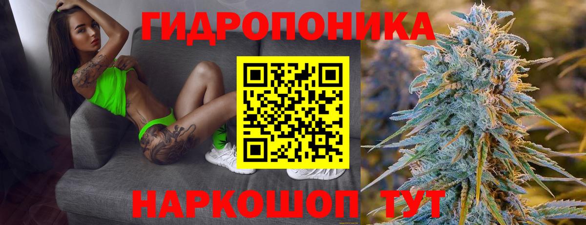 Каннабис AK-47  Вход с VPN  Марихуана гибрид  Шишки марихуана тримм  Ульяновск 