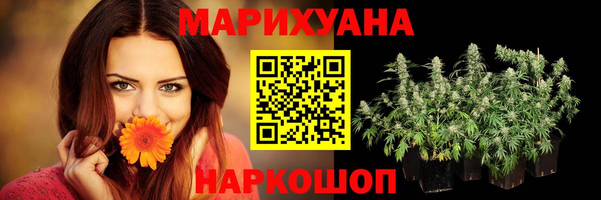 Бошки Шишки сатива Ульяновск